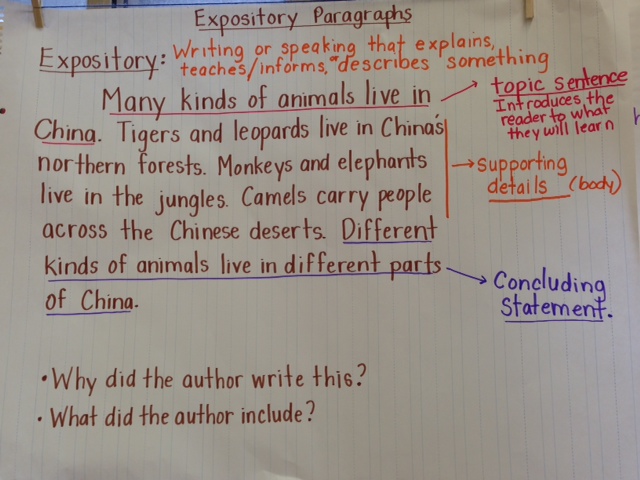 Expository Writing Anchor Chart 